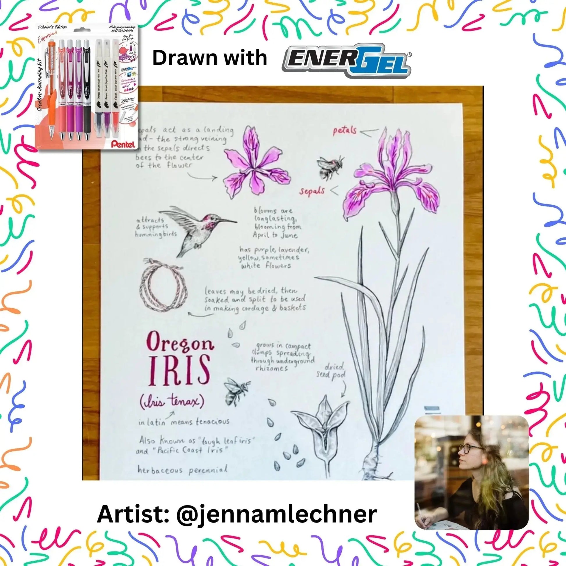 EnerGel Expressions Collector's Bundle - Set of 9 - Pentel of America, Ltd.