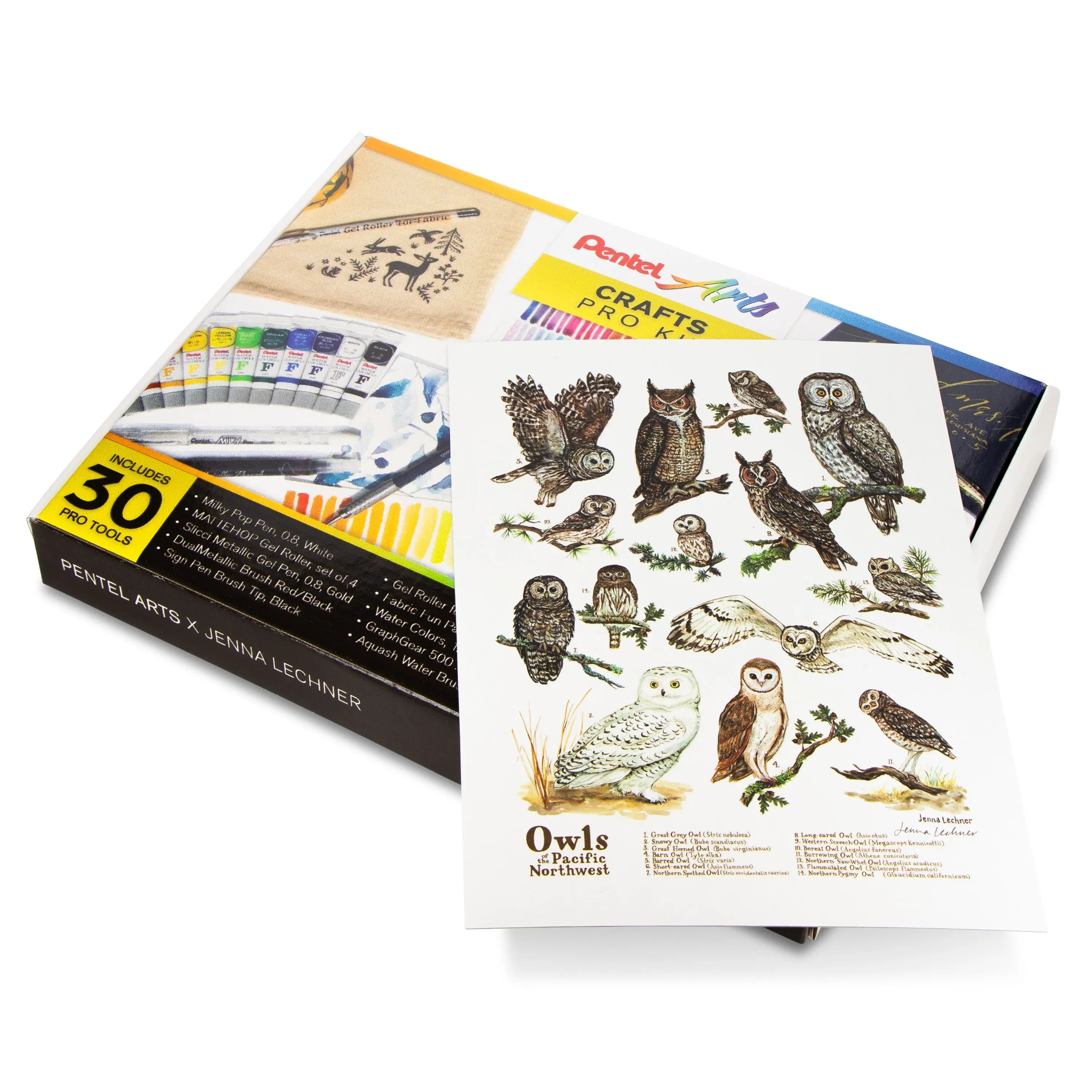 Pentel Arts Crafts Pro Kit - Pentel of America, Ltd.