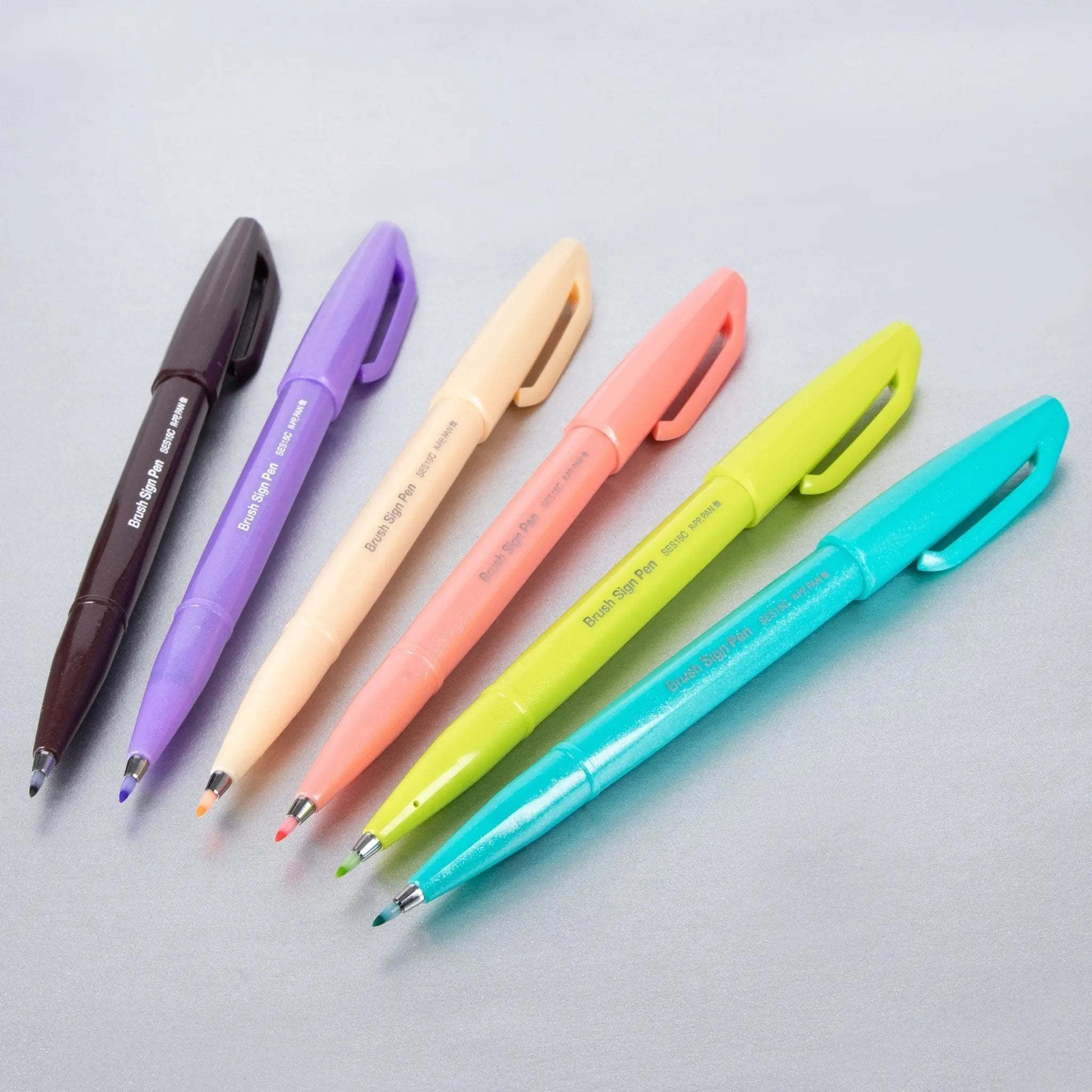 Pentel Arts Sign Pen Brush Tip, Assorted Vacation Colors, 6 - Pk - Pentel of America, Ltd.